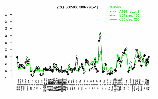 YtcQ expression.png