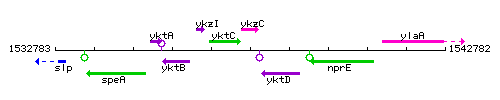 YkzC context.gif