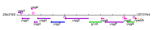 YqgS context.gif