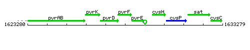 PyrF context.gif