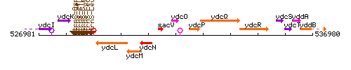 YdcO context.gif