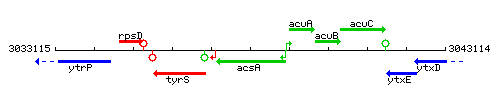 AcsA context.gif