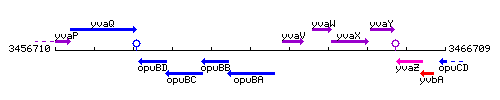 OpuBA context.gif