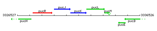 PucK context.gif