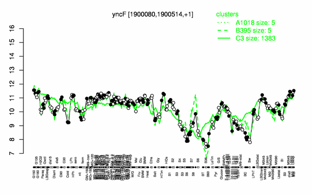 YncF expression.png