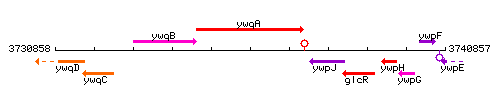 YwqA context.gif