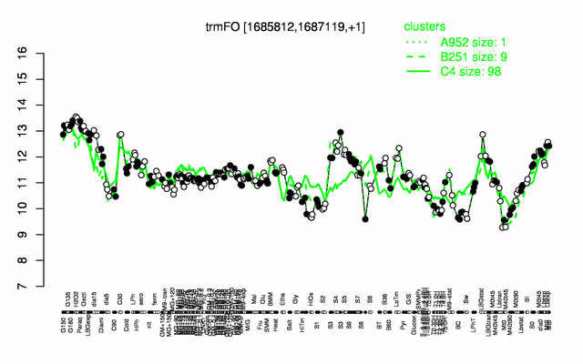 TrmFO expression.png