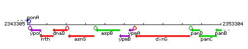 YpmB context.gif