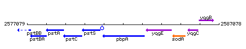 PbpA context.gif