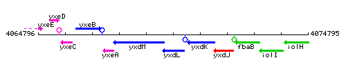 YxdL context.gif