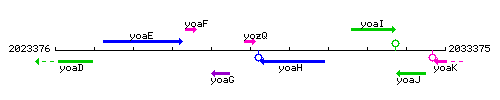 YozQ context.gif