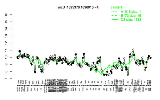 YncB expression.png