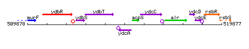 YdcA context.gif