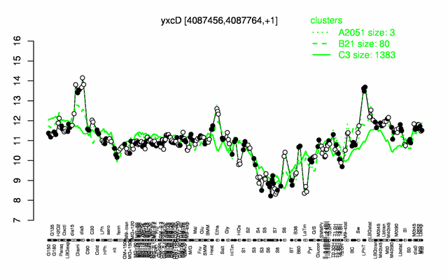 YxcD expression.png