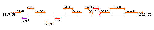 XkdC context.gif