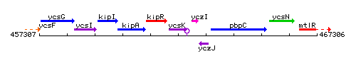 YcsK context.gif