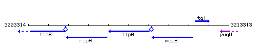 TlpA context.gif