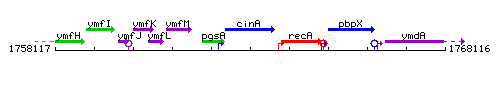 CinA context.gif