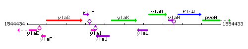 YlaK context.gif