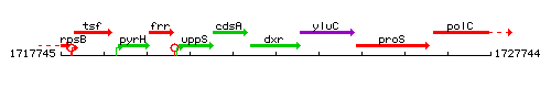 Dxr context.gif