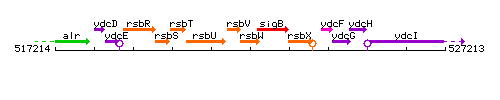 RsbW context.gif