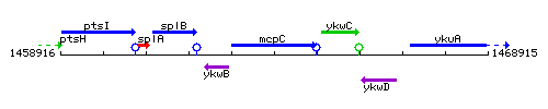 McpC context.gif