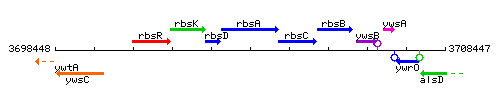 RbsA context.gif