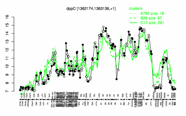 DppC expression.png