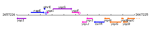 YqcF context.gif