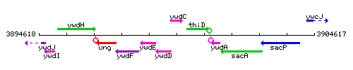 YwdC context.gif