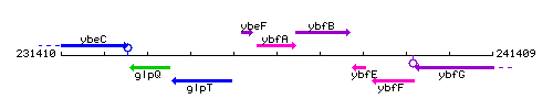 YbfA context.gif