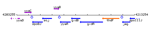 GidB context.gif