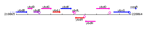 YbdL context.gif