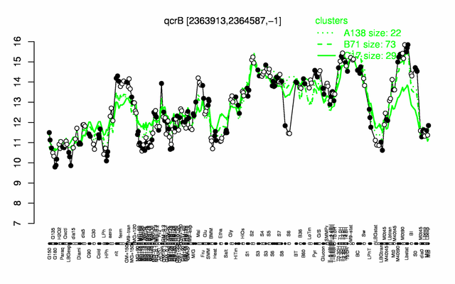 QcrB expression.png