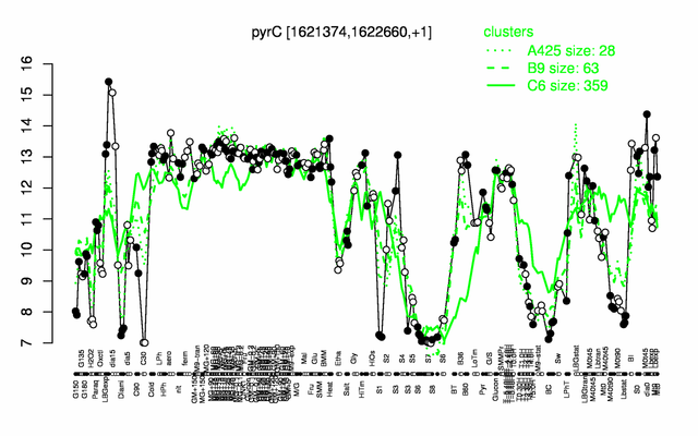 PyrC expression.png