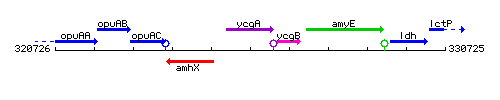 YcgA context.gif