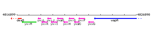 YxzC context.gif