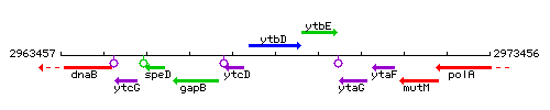 YtbD context.gif