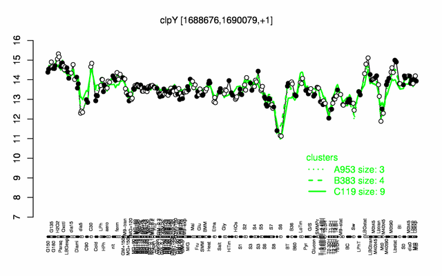 ClpY expression.png