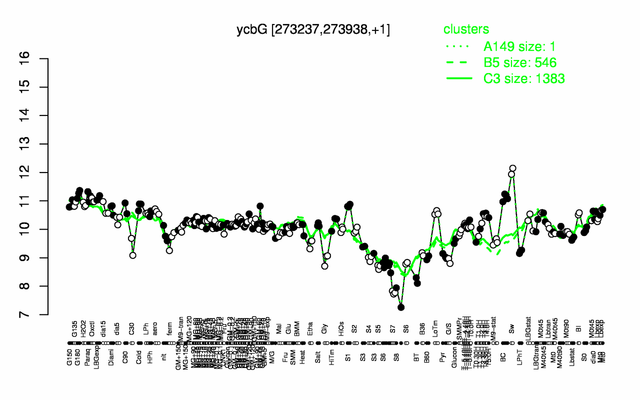 YcbG expression.png