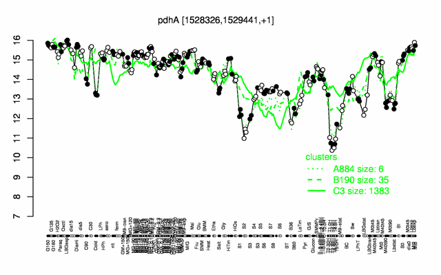 PdhA expression.png