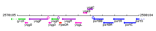 YqgL context.gif