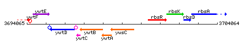 YwsC context.gif