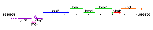 HemE context.gif