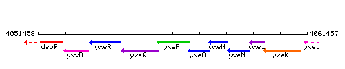 YxeP context.gif