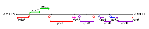 YptA context.gif