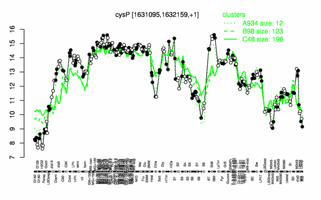 CysP expression.png