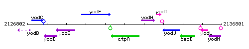 CtpA context.gif