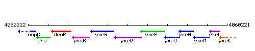 YxeQ context.gif