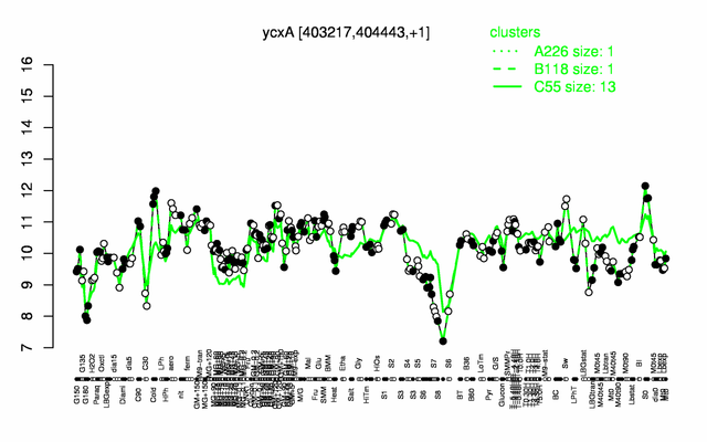 YcxA expression.png